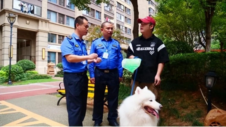 章贡区：强化犬类管理 共建文明城市