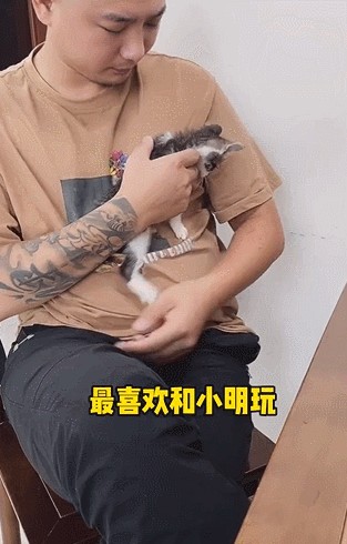 小奶猫用五个月治愈了四个壮汉...猫：我有四个花臂大爸