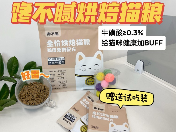 养猫久了才知道猫咪一大早叫你起床是想告诉你这些事！